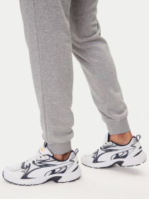 Штаны спортивные Napapijri Gori Winter модель NP0A88UH1601 Фото