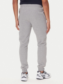 Штаны спортивные Napapijri Gori Winter модель NP0A88UH1601 Фото