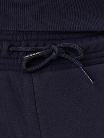 Штаны спортивные Napapijri Gori Winter модель NP0A88UH1761 Фото