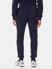 Штаны спортивные Napapijri Gori Winter модель NP0A88UH1761 Фото