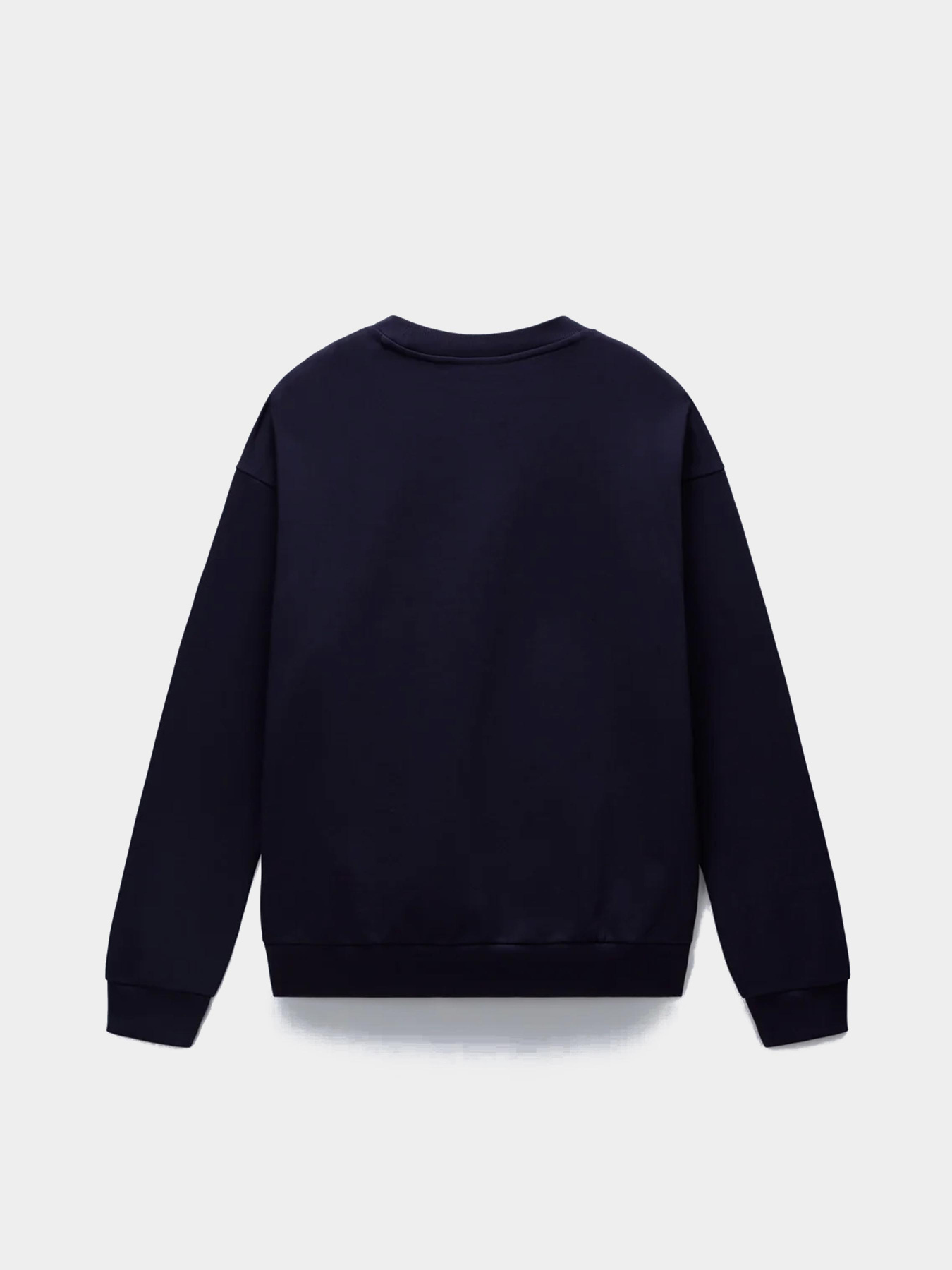 Свитшот Napapijri Elevated Logo модель NP0A88UO1761 Фото