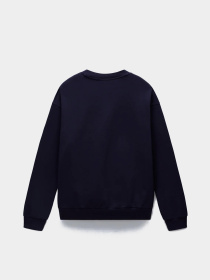 Свитшот Napapijri Elevated Logo модель NP0A88UO1761 Фото