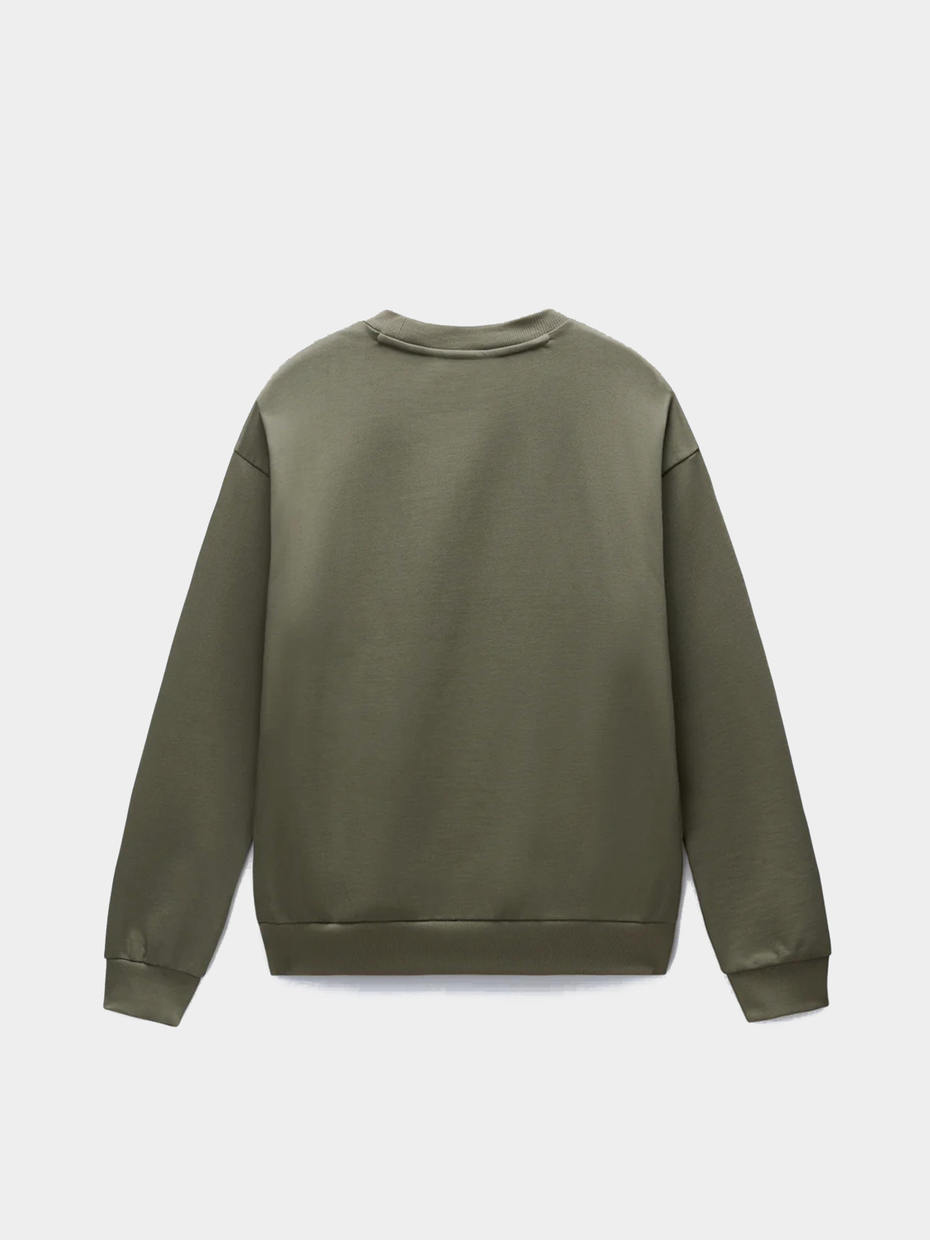 Свитшот Napapijri Elevated Logo модель NP0A88UOG0A1 Фото