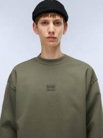 Свитшот Napapijri Elevated Logo модель NP0A88UOG0A1 Фото