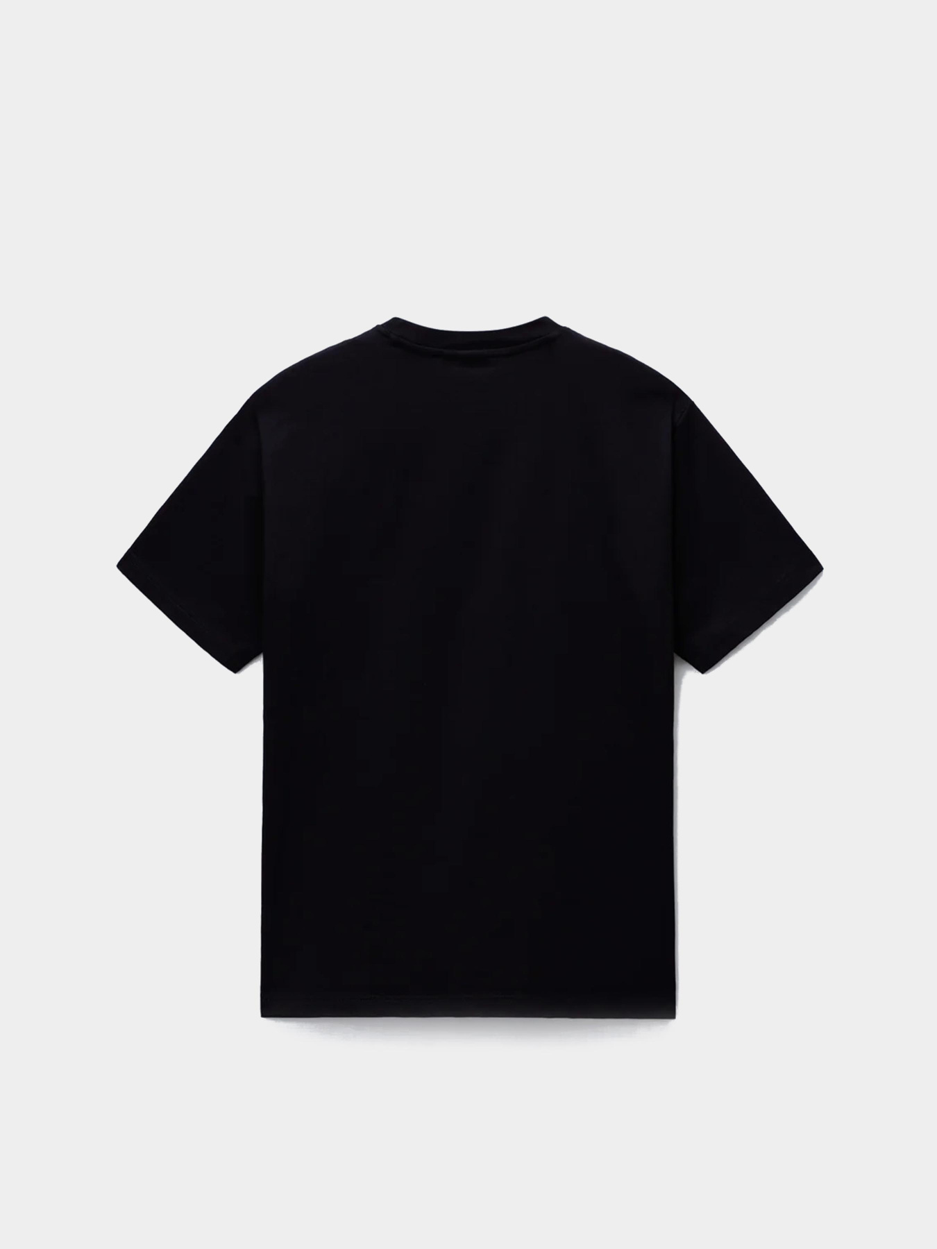 Футболка Napapijri Elevated Logo модель NP0A88Y29411 Футболка Napapijri Elevated Logo модель NP0A88Y29411 Фото