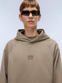 Худи Napapijri Elevated Logo модель NP0A894EN1T1 Фото