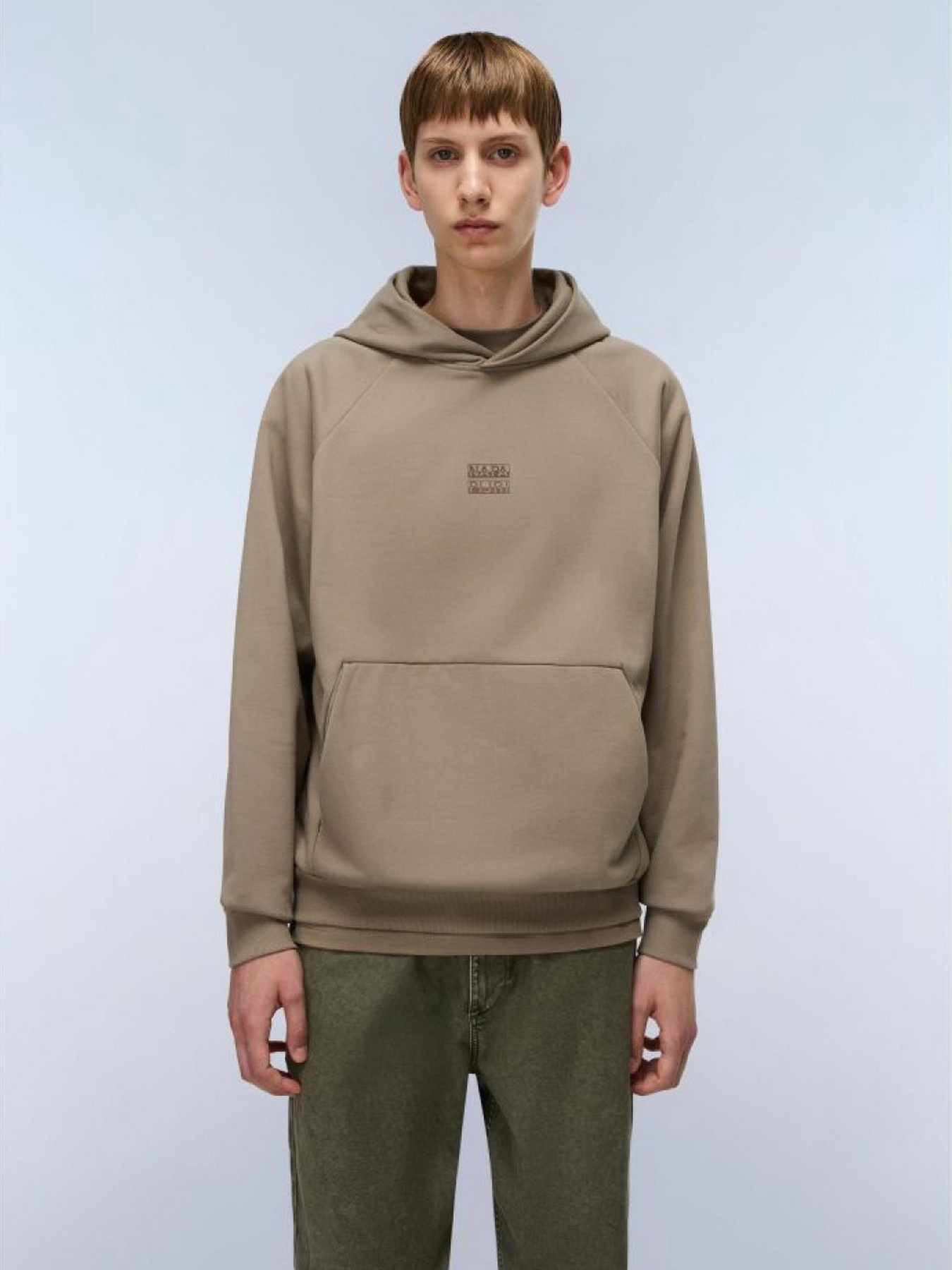 Худи Napapijri Elevated Logo модель NP0A894EN1T1 Фото