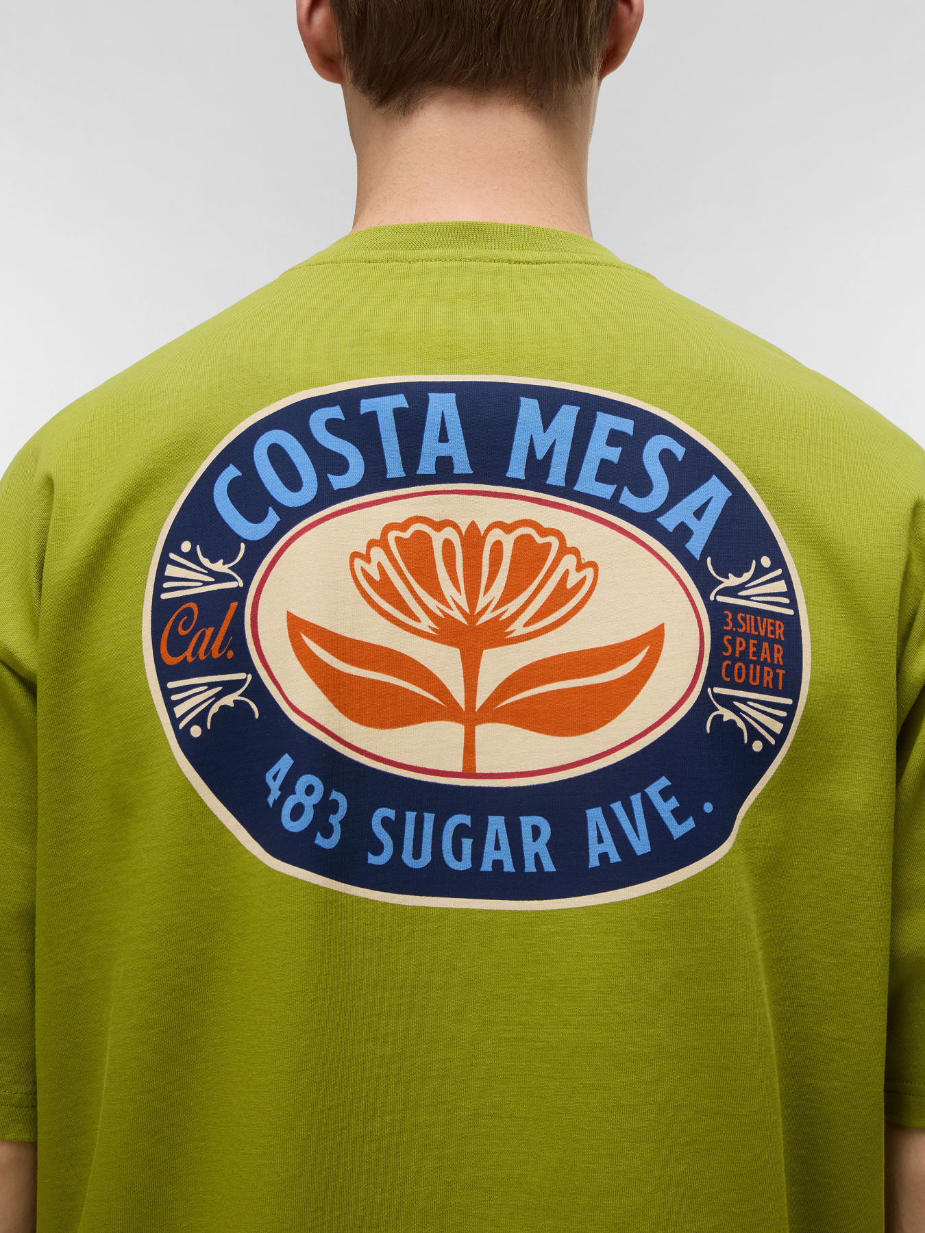 Футболка Napapijri S-FLUORITE модель NP0A4G2FG3B1 Футболка Napapijri S-FLUORITE модель NP0A4G2FG3B1 Фото