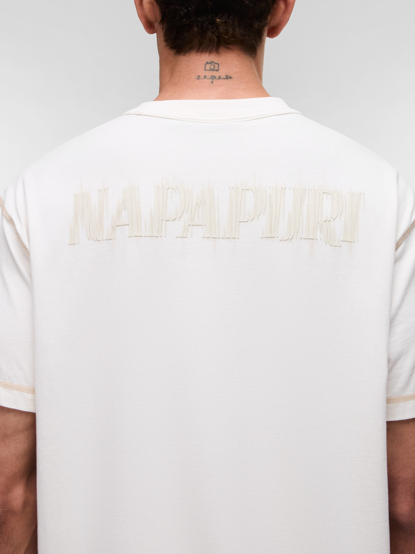 Футболка Napapijri S-UMBRA модель NP0A4G56N1A1 Футболка Napapijri S-UMBRA модель NP0A4G56N1A1 Фото