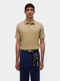 Футболки і поло Napapijri D-HUDSON модель NP0A4GBXN2D1 Фото