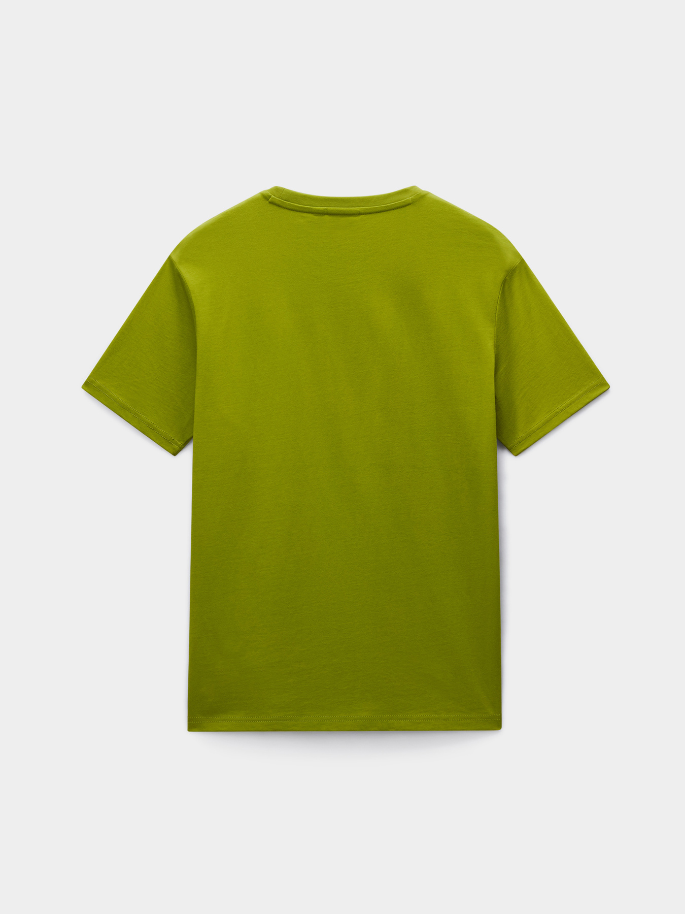 Футболка Napapijri SALIS SS модель NP0A4H8DG3B1 Футболка Napapijri SALIS SS модель NP0A4H8DG3B1 Фото