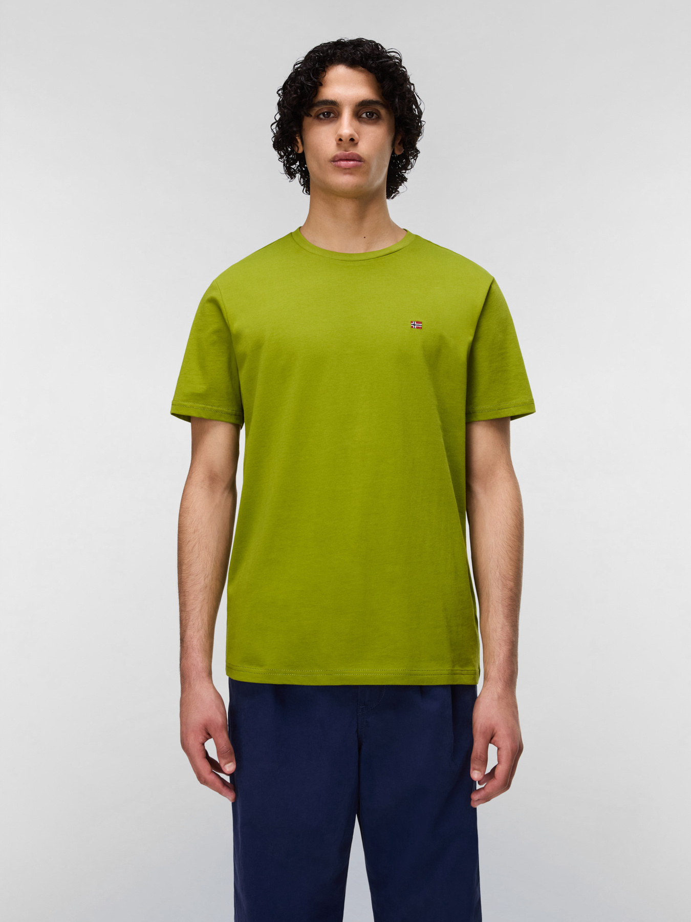 Футболка Napapijri SALIS SS модель NP0A4H8DG3B1 Футболка Napapijri SALIS SS модель NP0A4H8DG3B1 Фото