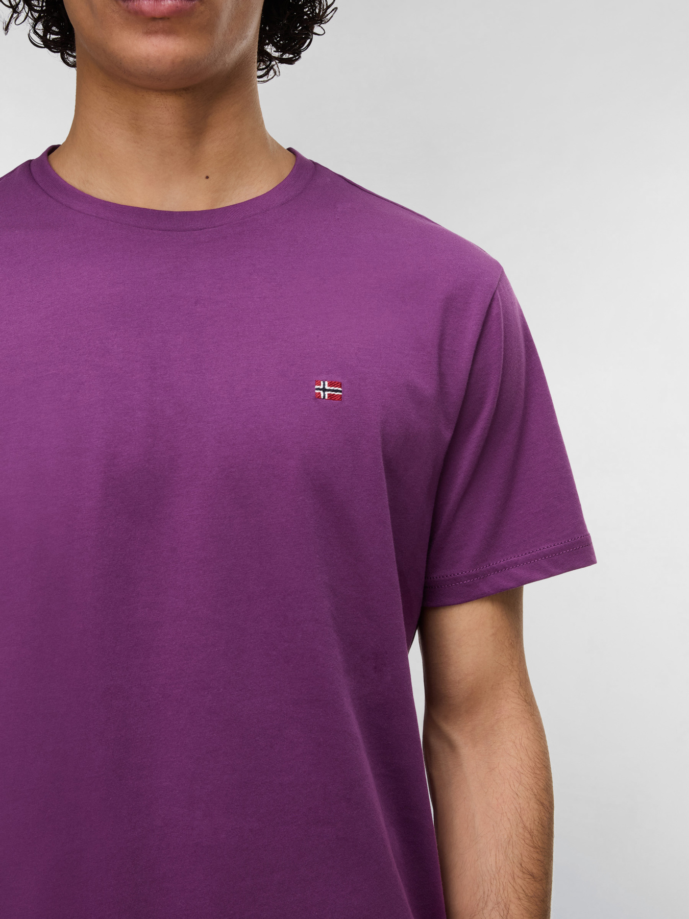 Футболка Napapijri SALIS SS модель NP0A4H8DVAA1 Футболка Napapijri SALIS SS модель NP0A4H8DVAA1 Фото