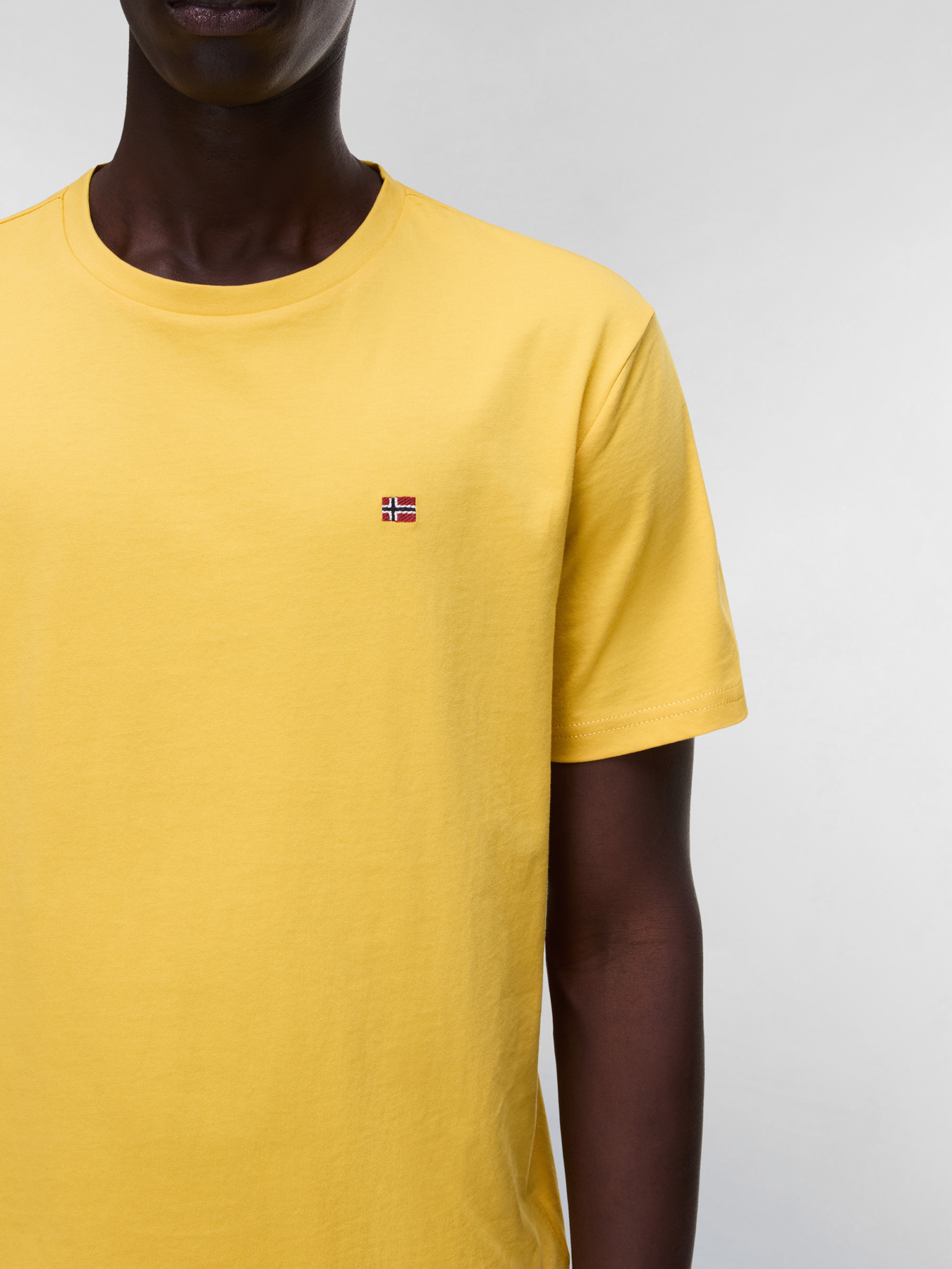 Футболка Napapijri SALIS SS модель NP0A4H8DY0Z1 Футболка Napapijri SALIS SS модель NP0A4H8DY0Z1 Фото