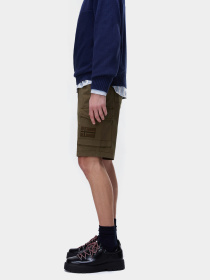 Шорты Napapijri N-HORTON модель NP0A4HOSG3A1 Фото