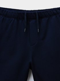 Повседневные шорты Napapijri N-BOX модель NP0A4I591761 Повседневные шорты Napapijri N-BOX модель NP0A4I591761 Фото