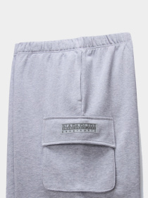 Повседневные шорты Napapijri N-BOX модель NP0A4I597951 Фото