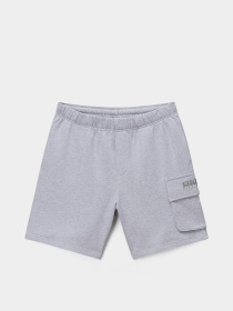 Повседневные шорты Napapijri N-BOX модель NP0A4I597951 Фото