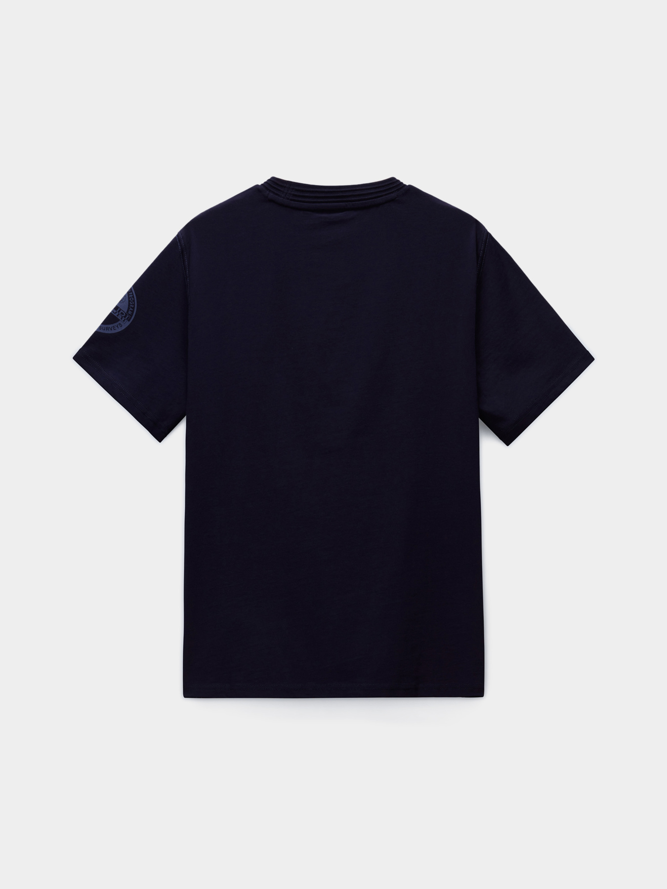 Футболка Napapijri S-AMUNDSEN модель NP0A4IN81761 Футболка Napapijri S-AMUNDSEN модель NP0A4IN81761 Фото