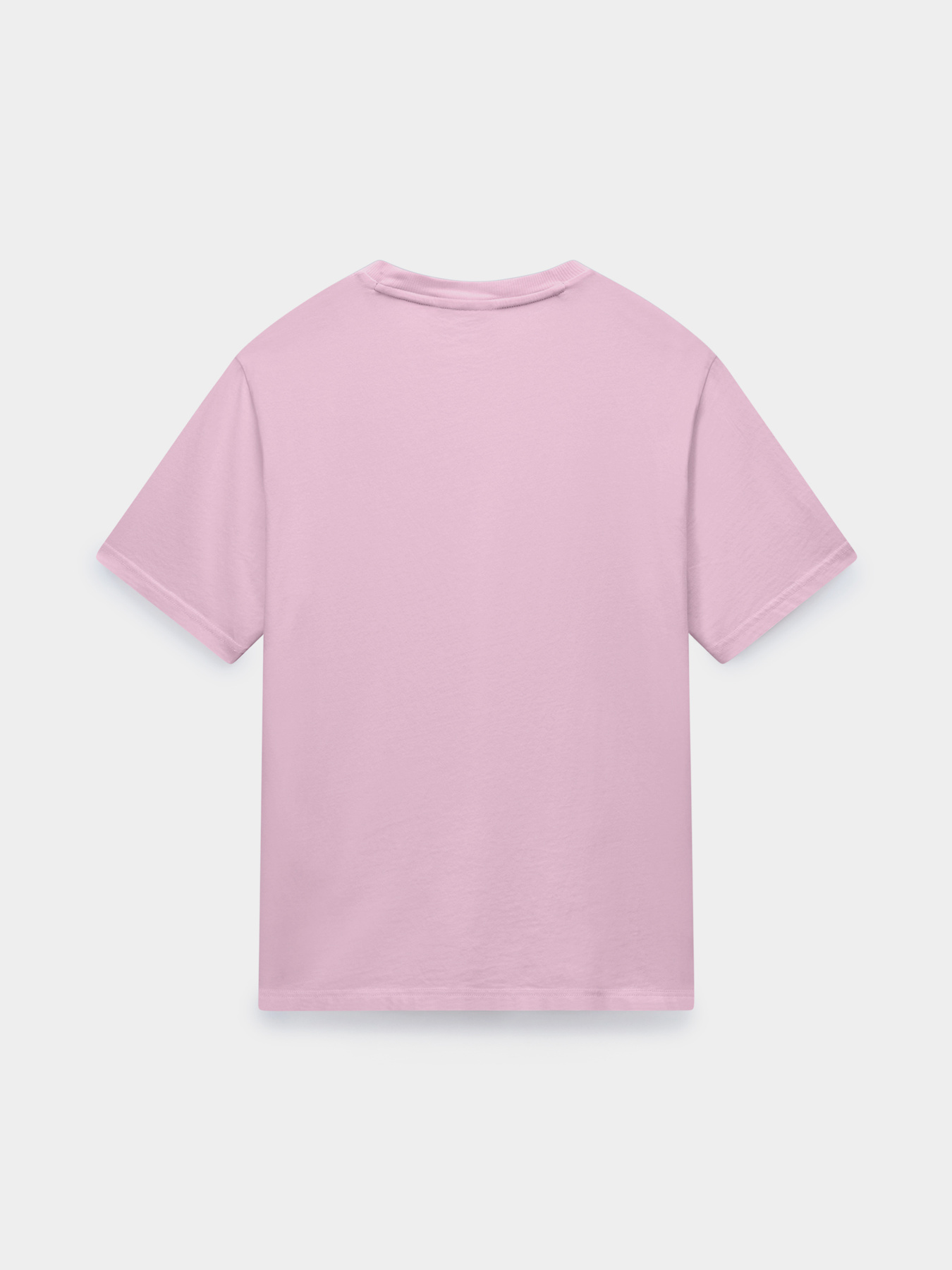 Футболка Napapijri S-NEDLES модель NP0A893EP1T1 Футболка Napapijri S-NEDLES модель NP0A893EP1T1 Фото