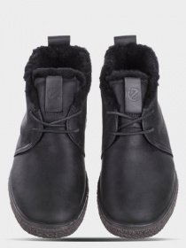 Черевики ECCO модель 20043302001 Фото