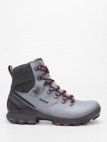 Ботинки ECCO BIOM HIKE модель 81157301244 Фото