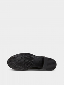 Сапоги ECCO SARTORELLE модель 26666351052 Фото