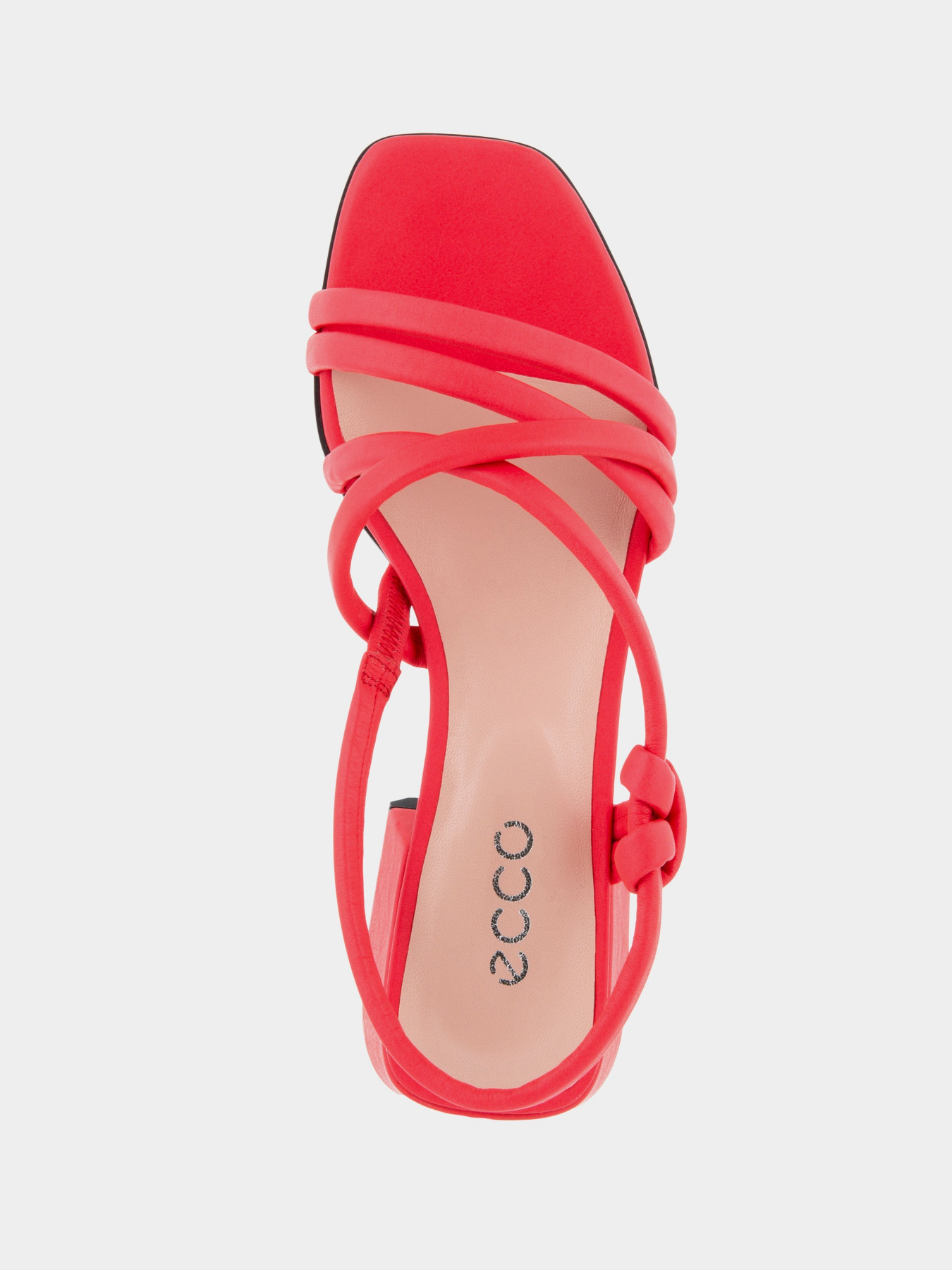 Босоніжки ECCO ELEVATE SQUARED SANDAL модель 29132301535 Фото