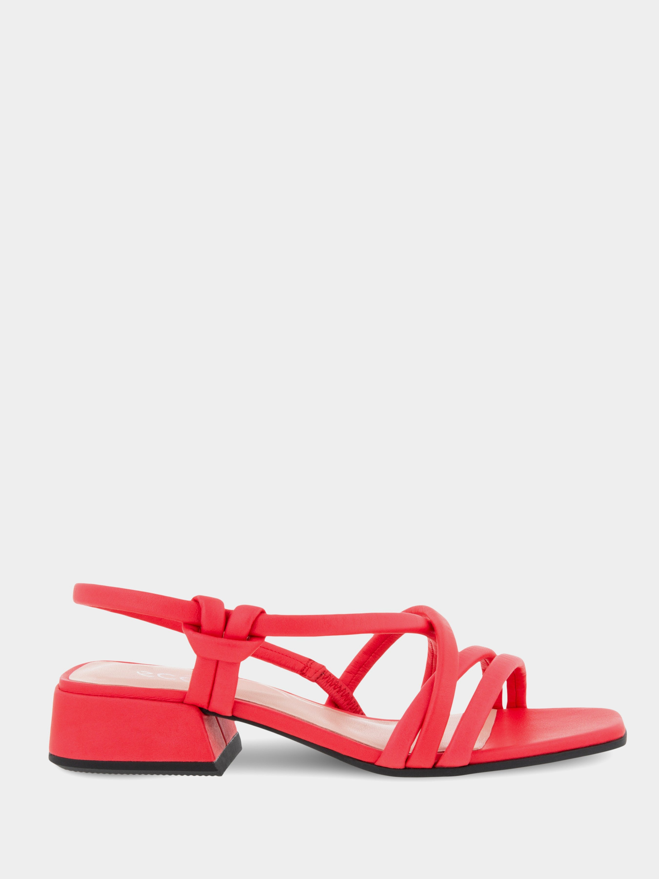 Босоніжки ECCO ELEVATE SQUARED SANDAL модель 29132301535 Фото