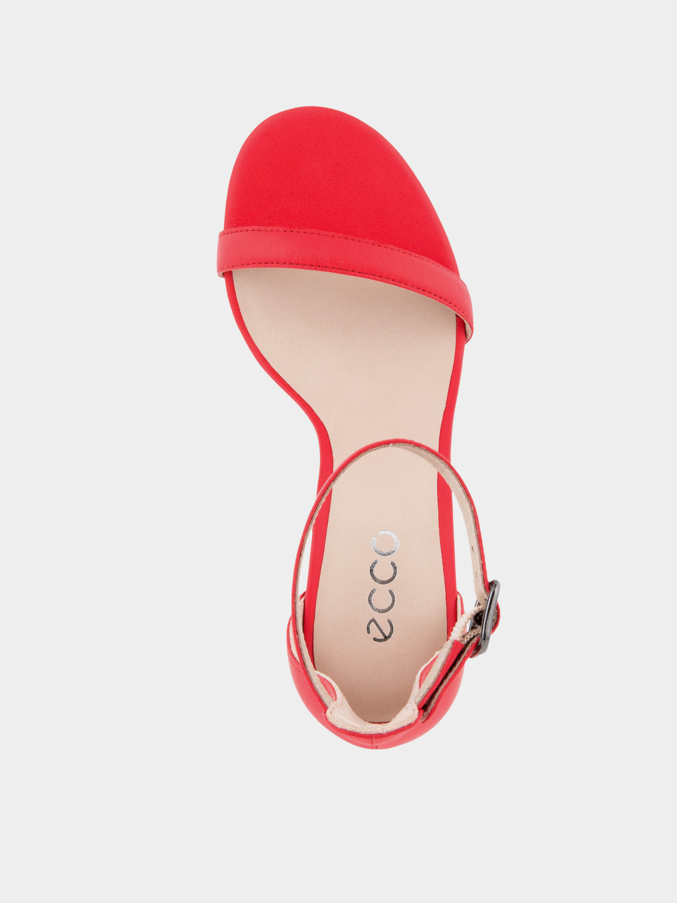 Босоніжки ECCO ELEVATE 75 BLOCK модель 29100301535 Фото