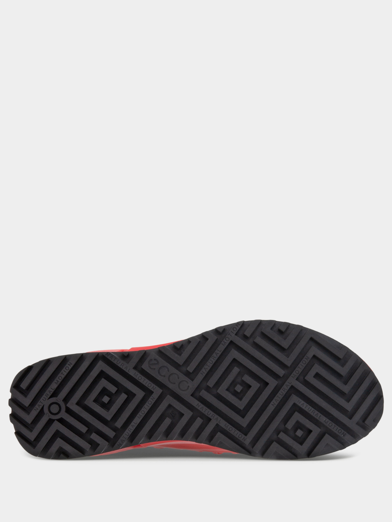 Кросівки повсякденні ECCO Biom 2.0 модель 80062352558 Кросівки повсякденні ECCO Biom 2.0 модель 80062352558 Фото