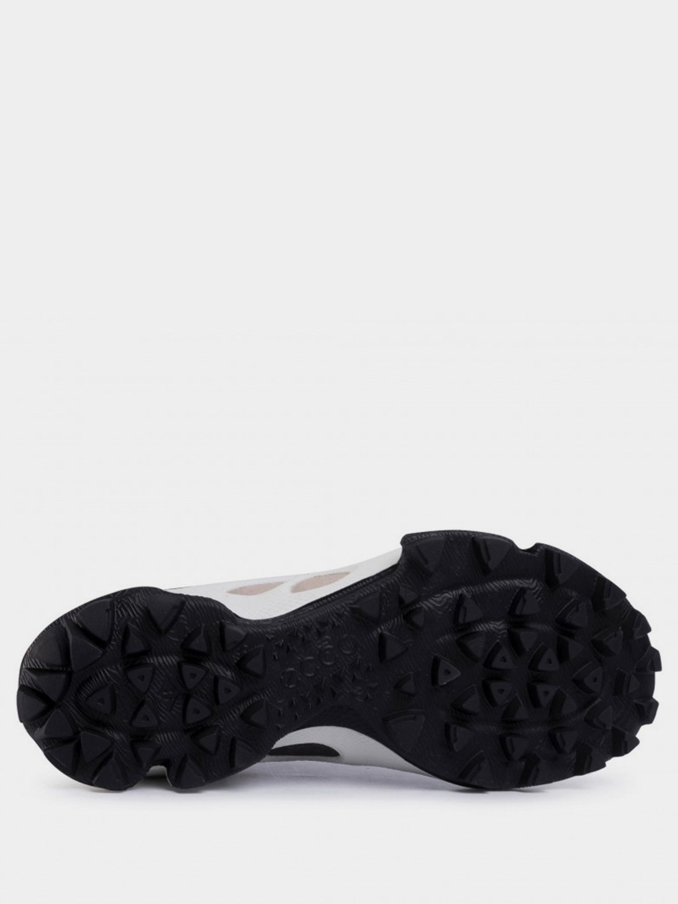 Кросівки для спорту ECCO BIOM C-TRAIL модель 80310351832 Фото