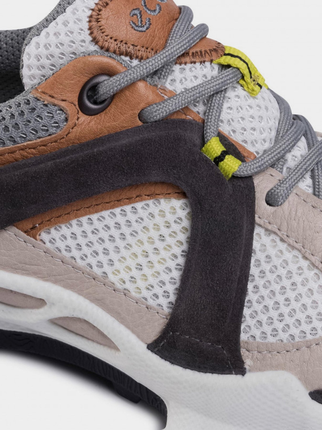 Кросівки для спорту ECCO BIOM C-TRAIL модель 80310351832 Фото