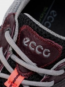 Кросівки для спорту ECCO BIOM C-TRAIL модель 80310351833 Фото