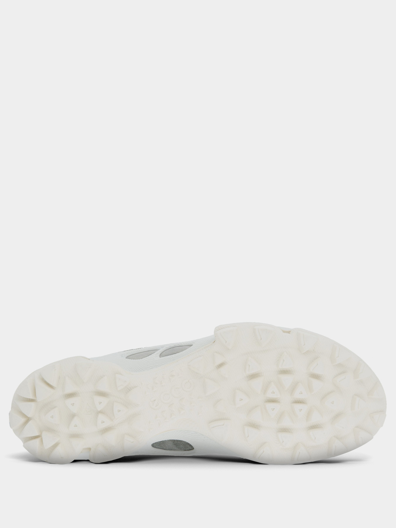 Кросівки для тренувань ECCO BIOM C-TRAIL модель 80310351871 Фото