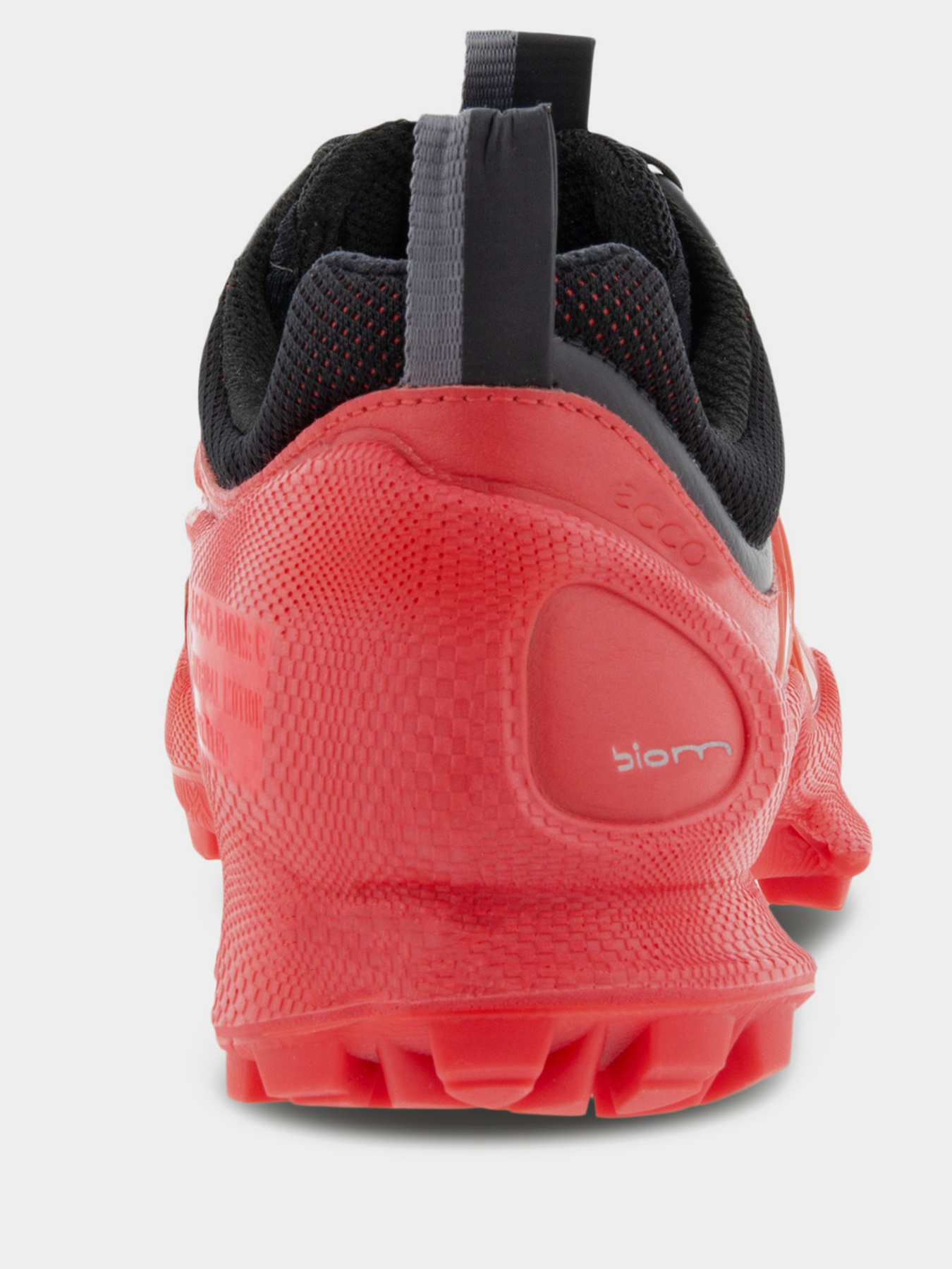 Кросівки для спорту ECCO BIOM C-TRAIL модель 80311352561 Кросівки для спорту ECCO BIOM C-TRAIL модель 80311352561 Фото