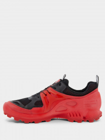 Кросівки для спорту ECCO BIOM C-TRAIL модель 80311352561 Кросівки для спорту ECCO BIOM C-TRAIL модель 80311352561 Фото