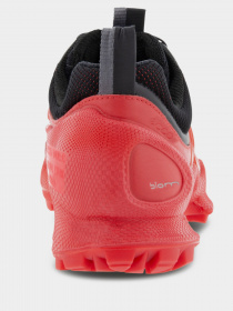 Кросівки для спорту ECCO BIOM C-TRAIL модель 80311352561 Кросівки для спорту ECCO BIOM C-TRAIL модель 80311352561 Фото