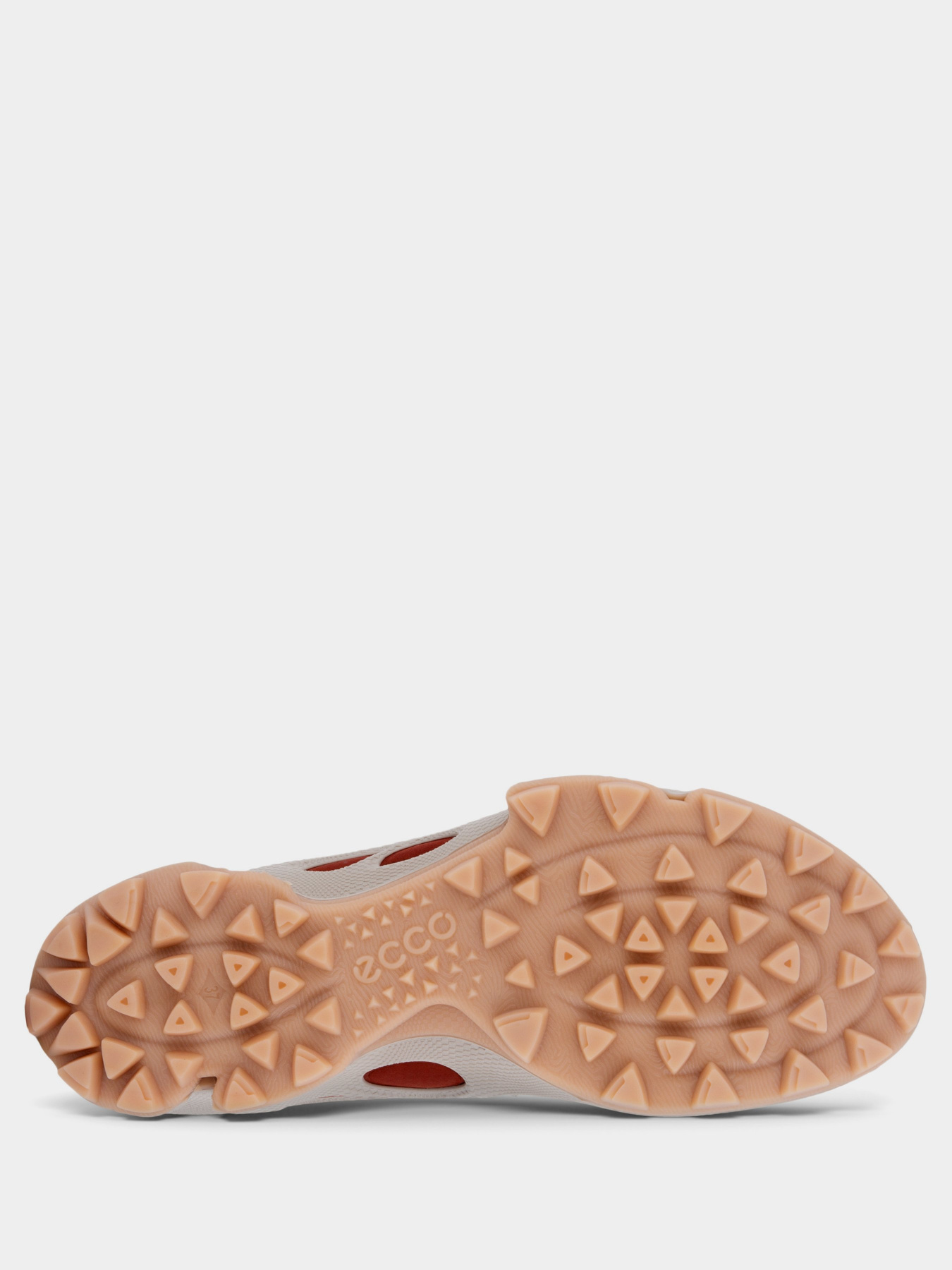 Кросівки для спорту ECCO BIOM C-TRAIL модель 80317357922 Кросівки для спорту ECCO BIOM C-TRAIL модель 80317357922 Фото