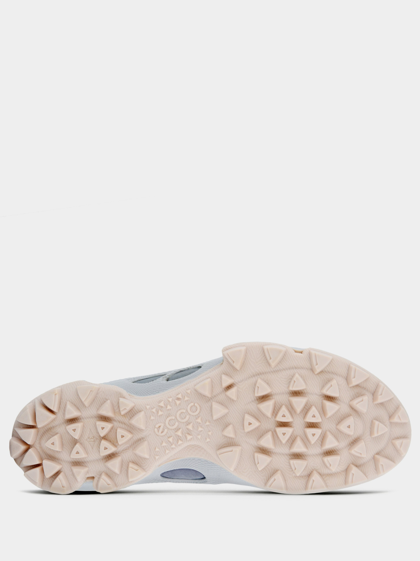 Кроссовки для тренировок ECCO BIOM C-TRAIL модель 80317358295 Фото