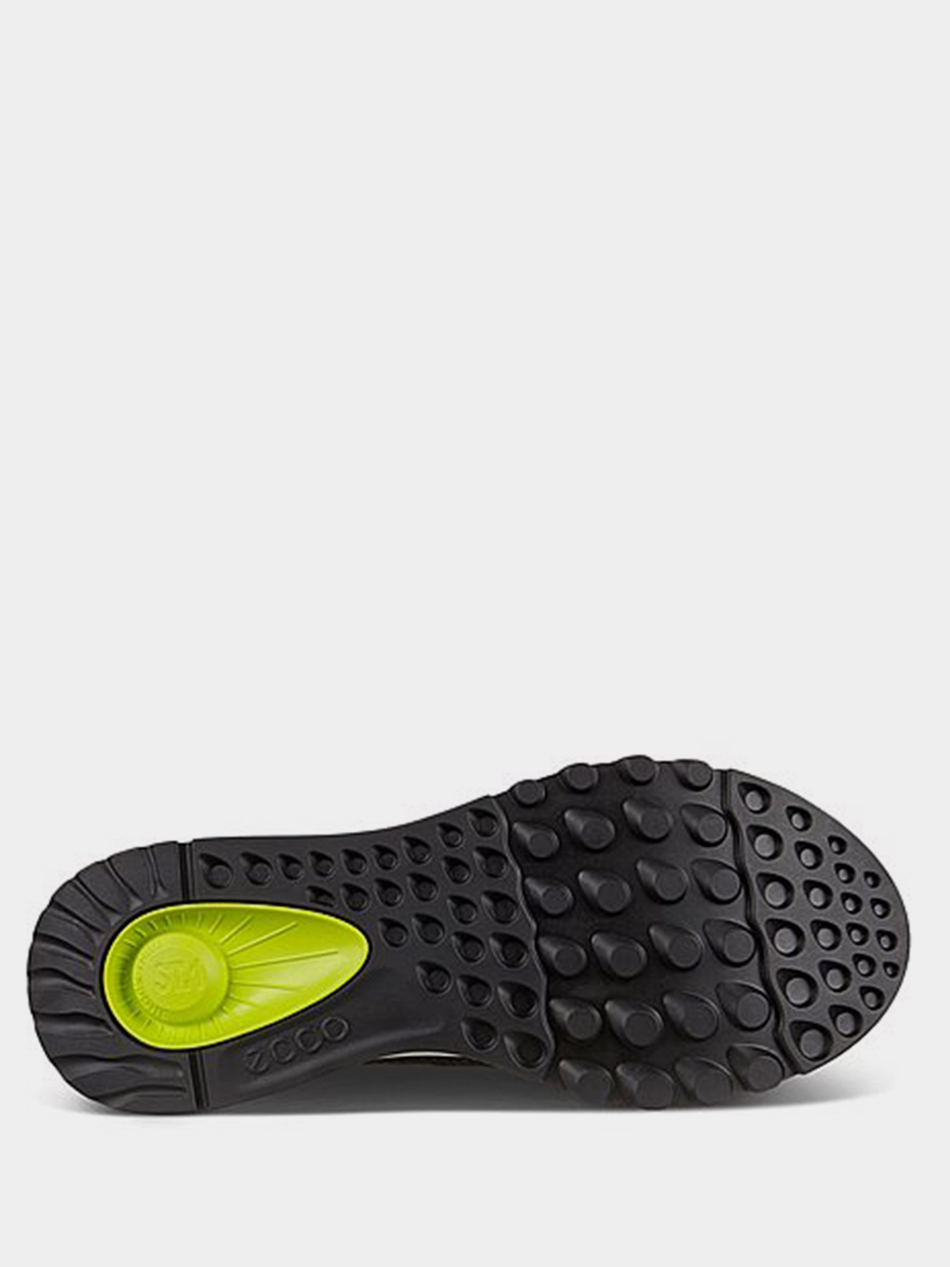 Кросівки для спорту ECCO Exostride модель 83532351776 Фото