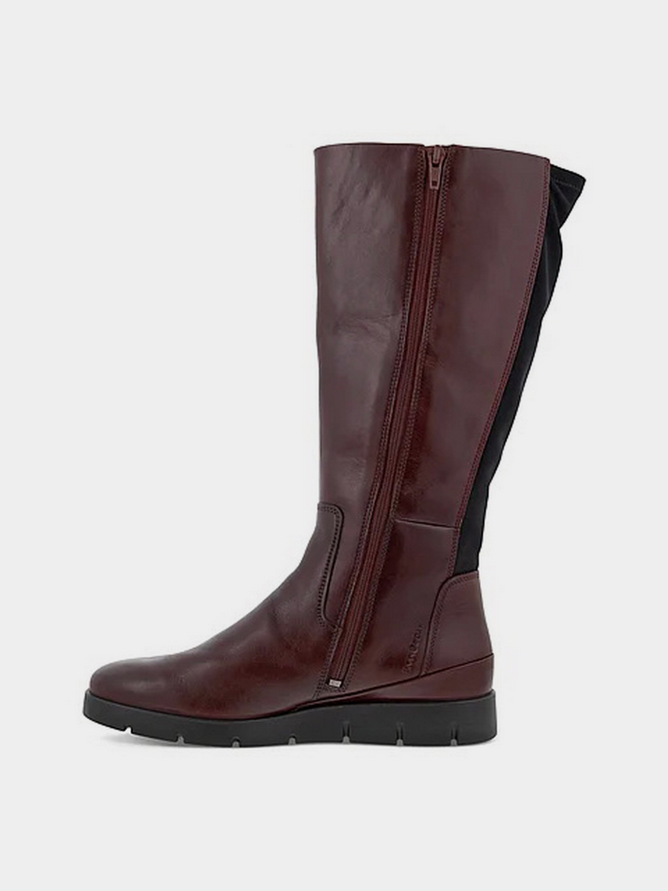 Чоботи ECCO Bella модель 28238360138 Фото