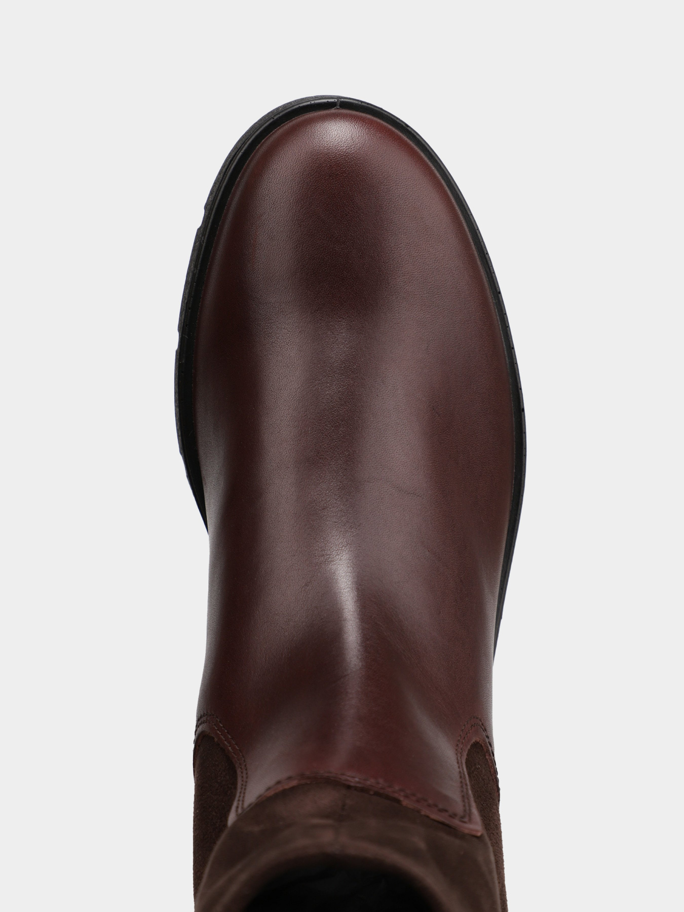 Чоботи ECCO Bella модель 28236358500 Чоботи ECCO Bella модель 28236358500 Фото