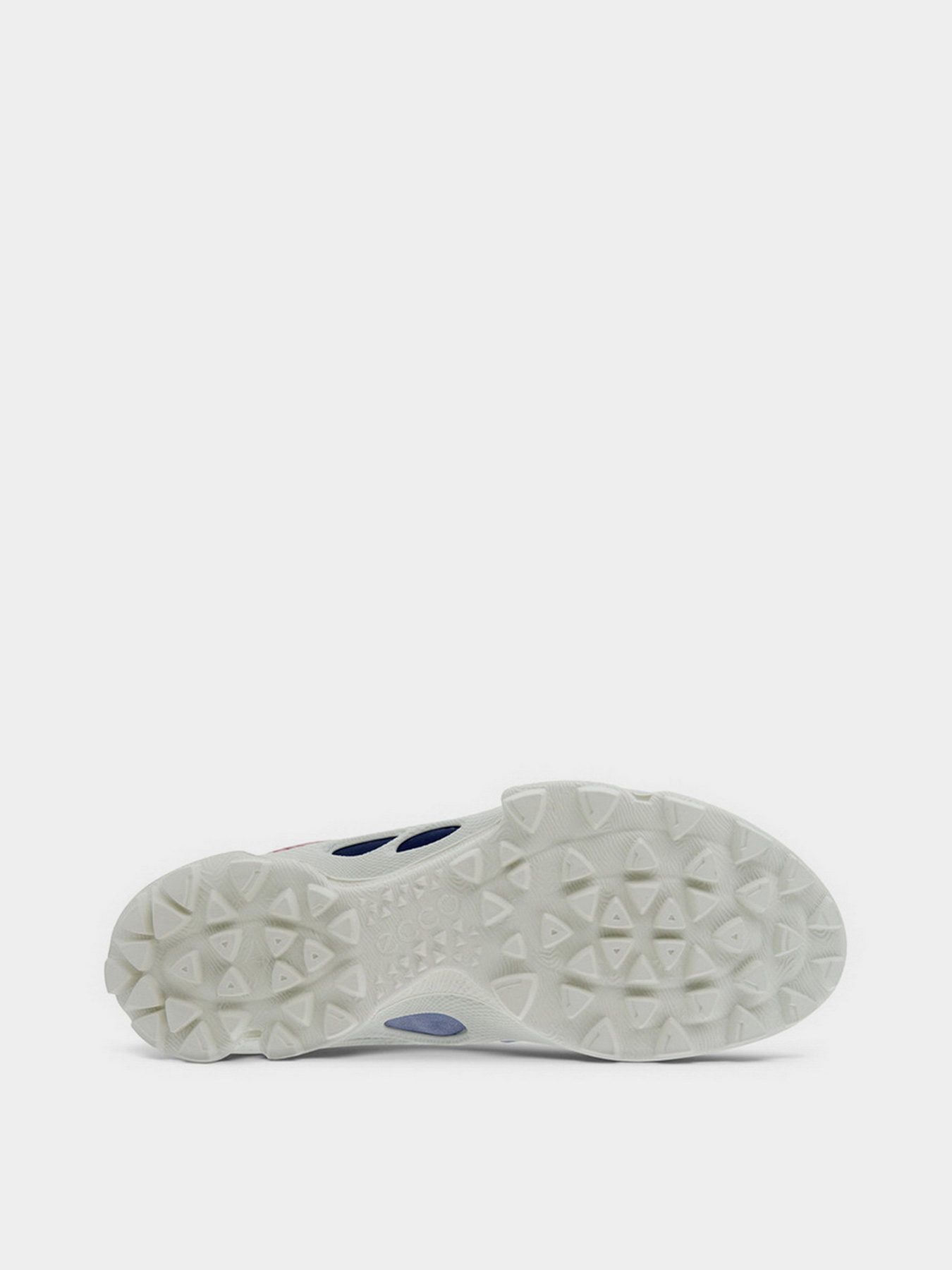 Кроссовки ECCO Biom C-Trail модель 80318360256 Фото