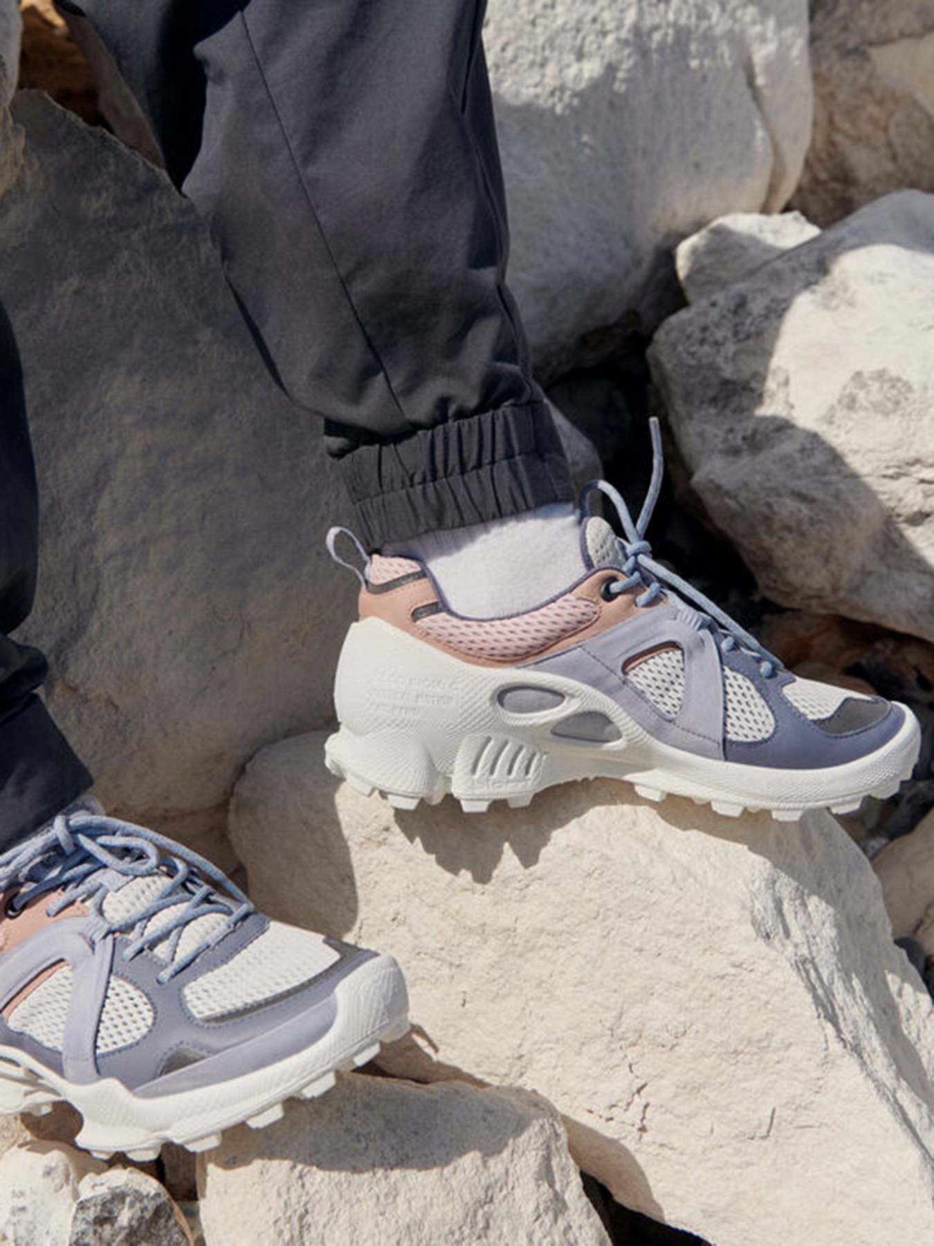 Кроссовки ECCO Biom C-Trail модель 80318360256 Фото