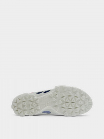 Кроссовки ECCO Biom C-Trail модель 80318360256 Фото