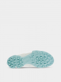 Кроссовки ECCO Biom C-Trail модель 80317360261 Фото