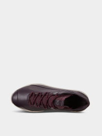 Кроссовки ECCO Exostrike модель 83246301385 Фото