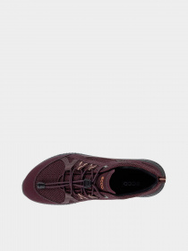 Кросівки ECCO II модель 84306351502 Фото