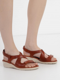 Босоножки ECCO Felicia модель 21664302053 Босоножки ECCO Felicia модель 21664302053 Фото